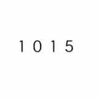 1015 store logo