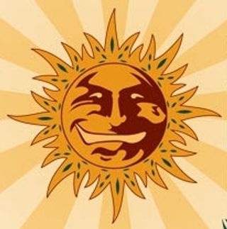 Barneys Farm logo