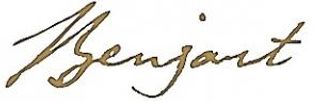 BenjartWorld logo