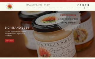 Big Island Bees logo