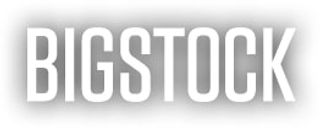 BigStock logo