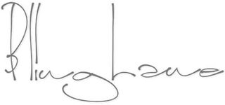 Blinglane logo