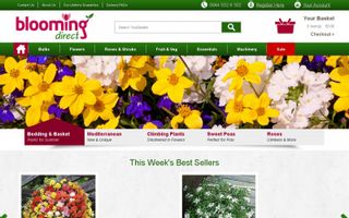Blooming Direct logo