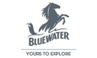 Bluewater logo