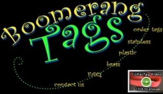 Boomerang Tags logo