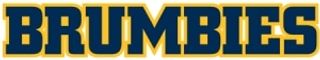Brumbies Rugby logo