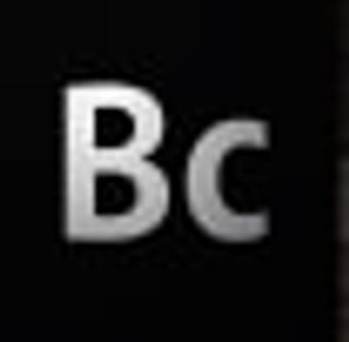 Business Catalyst logo