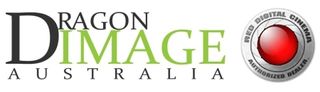 Dragon Image logo