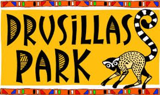 Drusillas Park logo