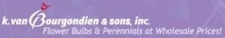 K. Van Bourgondien & Sons logo