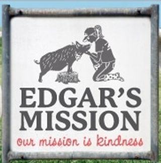 edgars mission logo