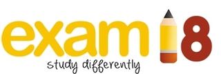 Exam18 logo