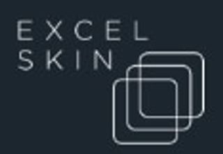 Excel Skin logo
