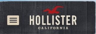 Hollister logo