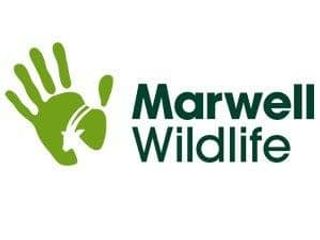 Marwell Wildlife logo