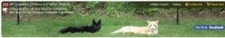 Purrfect Fence logo