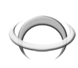 Ringtraining logo