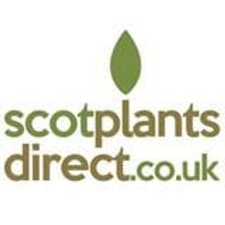 Scot Plants Direct logo