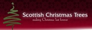 Scottish Christmas Trees logo