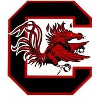 Gamecocks Online logo