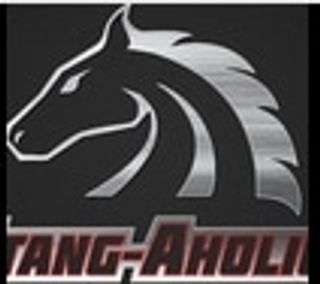 Stang-aholics logo