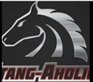 Stang-aholics logo