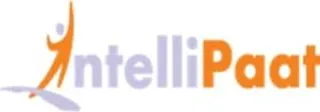 IntelliPaat logo