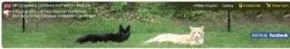 Purrfect Fence logo