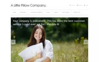 A Little Pillow Company logo