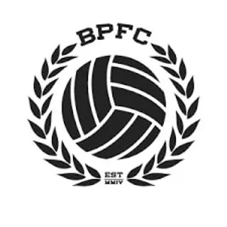 Bumpy Pitch logo