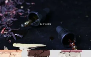 Gressa Skin logo