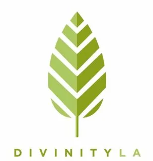 Divinityla logo