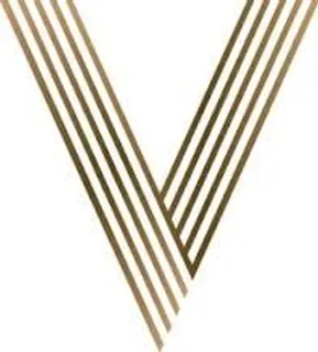 Virgin Hair And Beauty logo