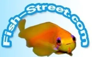 Fish-street logo