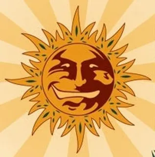 Barneys Farm logo