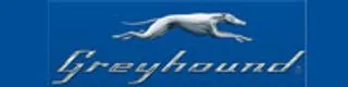 Greyhound logo