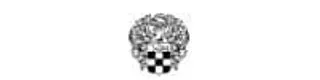 Vince Camuto logo