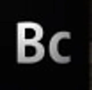 Business Catalyst logo