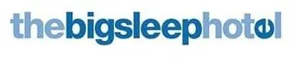 Big Sleep logo
