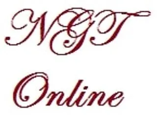 NGT ONLINE logo