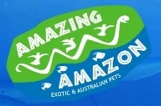 Amazing Amazon logo