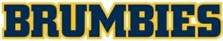 Brumbies Rugby logo