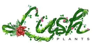 Lush Plants logo