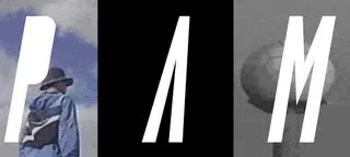 Perks And Mini logo