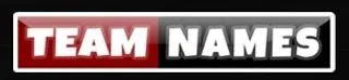Team Names logo