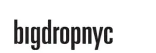 Big Drop NYC logo