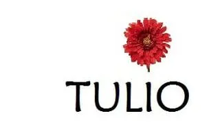 Tulio logo