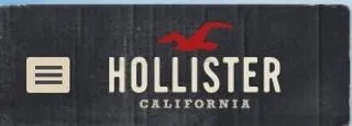 Hollister logo