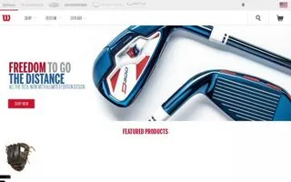 Wilson logo