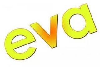 StoreEva logo
